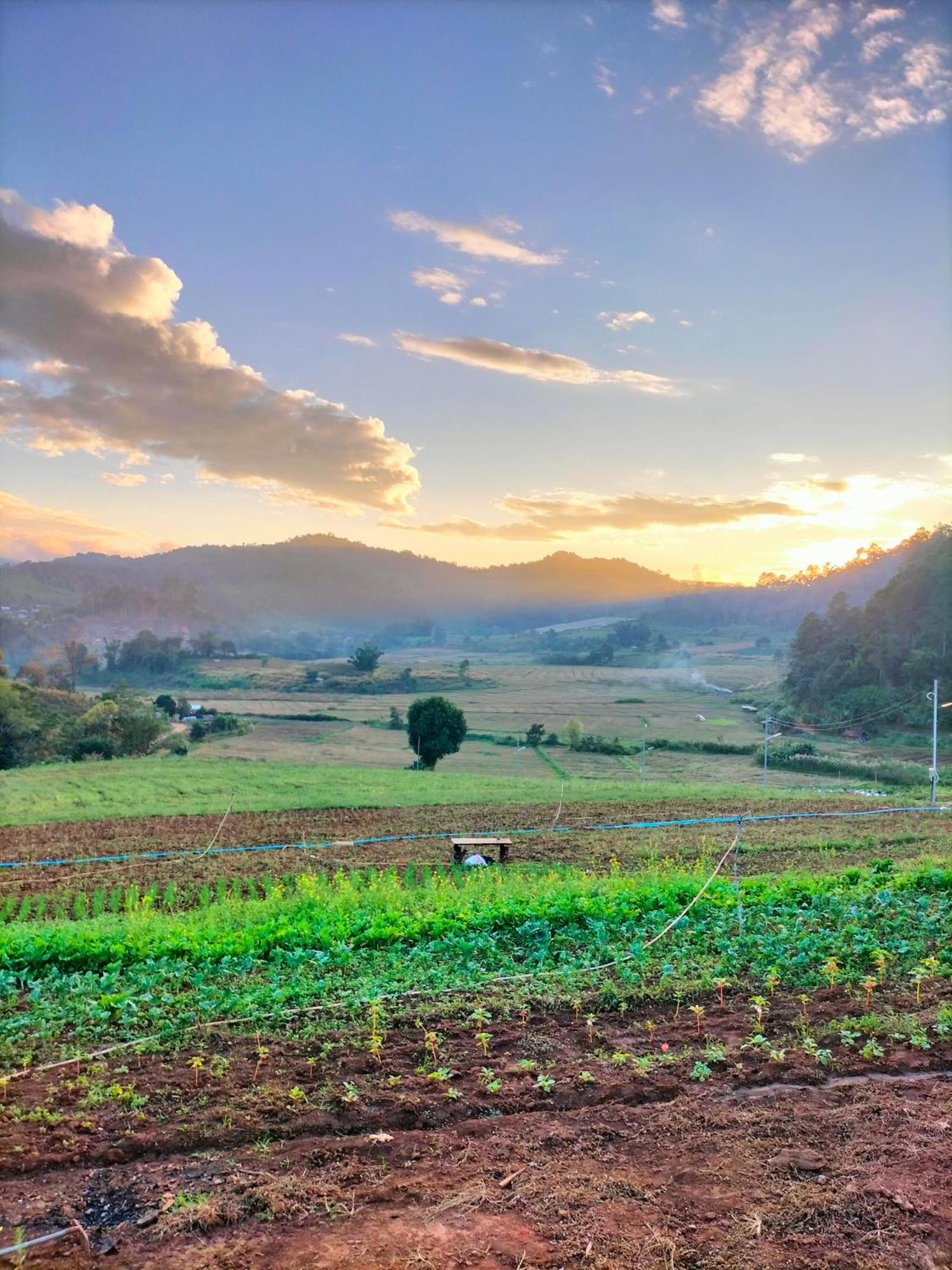 สวนไร่รุ่งอรุณ Suan Rai Rungarun Hotel Ban Na Pa Paek Luaran gambar